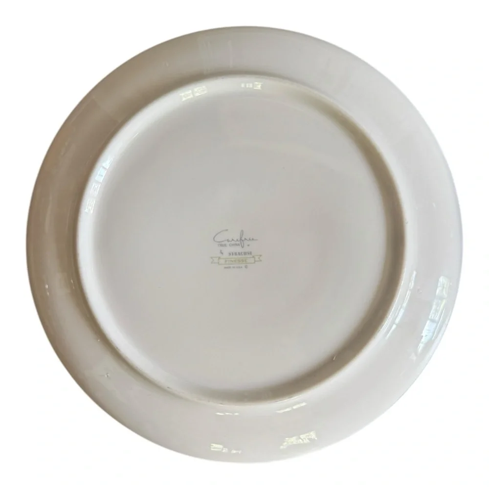 Carefree True China By Syracuse Finesse 10” Dinner Plates Set of Two DC2200